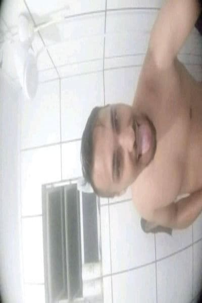 Gatinho