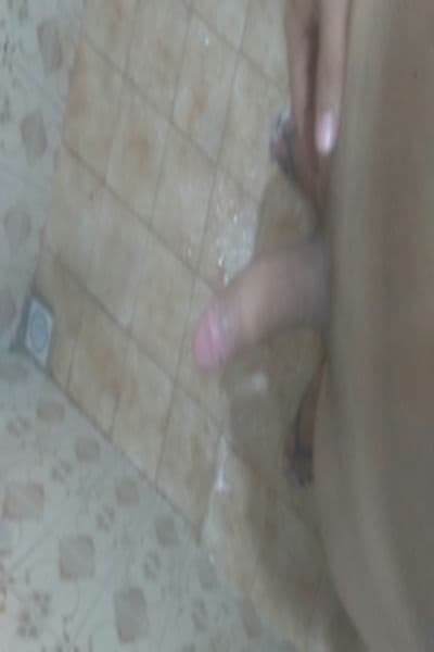 Novinho ativo