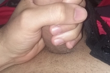 PEDRO